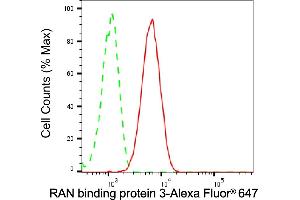 Flow cytometric analysis of RAN binding protein 3 expression in C2C12 cells using RAN binding protein 3 antibody (ABIN7800127), 1:2,000). (Recombinant RanBP3 抗体)