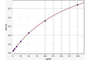Typical standard curve (C-Type Lectin Domain Family 4, Member M (CLEC4M) ELISA 试剂盒)