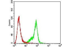 Flow Cytometry (FACS) image for anti-Sperm Autoantigenic Protein 17 (SPA17) (AA 1-152) antibody (ABIN7193607)