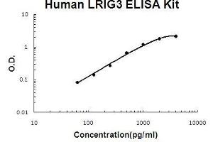 Human LRIG3 PicoKine ELISA Kit standard curve (LRIG3 ELISA 试剂盒)