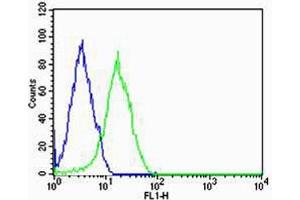 Flow cytometric analysis of HepG2 cells using Phospho-HUN-SHB. (SHB 抗体  (AA 250-290))