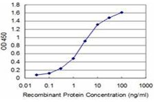 Detection limit for recombinant GST tagged BOLL is approximately 0. (BOLL 抗体  (AA 185-283))