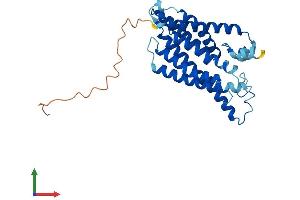 Protein Structure (PS) image for Ceroid-Lipofuscinosis, Neuronal 6, Late Infantile, Variant (CLN6) (AA 1-311) protein (His tag) (ABIN7546597)