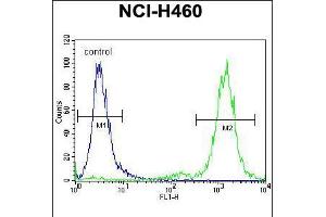 Flow cytometric analysis of NCI-H460 cells (right histogram) compared to a negative control cell (left histogram).