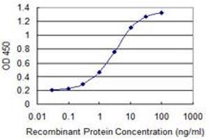 Detection limit for recombinant GST tagged TRIM17 is 0. (TRIM17 / RNF16 抗体  (AA 75-184))
