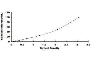 ELISA image for Heat Shock Protein 90kDa alpha (Cytosolic), Class A Member 1 (HSP90AA1) ELISA Kit (ABIN1570374)