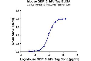 ELISA image for Growth Differentiation Factor 15 (GDF15) (AA 189-303) protein (Fc Tag) (ABIN7274729)