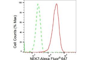 Flow cytometric analysis of NEK7 expression in HepG2 cells using NEK7 antibody (ABIN7799570), 1:2,000). (Recombinant NEK7 抗体)