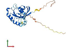 Protein Structure (PS) image for RAB33B, Member RAS Oncogene Family (RAB33B) (AA 1-229) protein (His tag) (ABIN7562394)