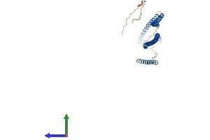 Protein Structure (PS) image for Keratin 25 (KRT25) (AA 1-446) protein (His tag) (ABIN7559834)