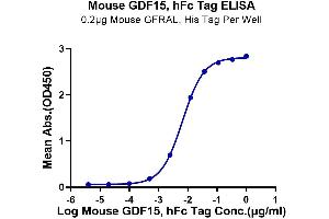 ELISA image for Growth Differentiation Factor 15 (GDF15) (AA 189-303) protein (Fc Tag) (ABIN7274729)