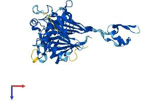 ELAC1 Protein (ELAC1) (AA 1-363) (His tag)