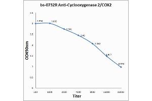 ELISA image for anti-Prostaglandin-Endoperoxide Synthase 2 (Prostaglandin G/H Synthase and Cyclooxygenase) (PTGS2) (AA 501-604) antibody (ABIN672471)