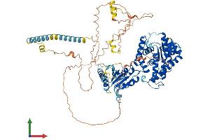 Protein Structure (PS) image for YME1-Like 1 (YME1L1) (AA 1-773) protein (His tag) (ABIN7556074)