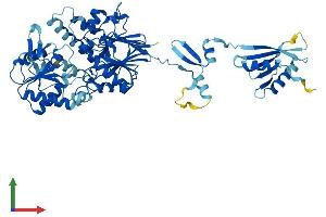 Protein Structure (PS) image for Cleavage and Polyadenylation Specific Factor 3-Like (CPSF3L) (AA 1-600) protein (His tag) (ABIN7548503)