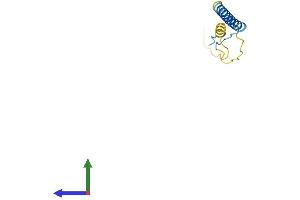 Protein Structure (PS) image for Small Cell Adhesion Glycoprotein (SMAGP) (AA 1-97) protein (His tag) (ABIN7546209)