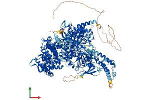 Protein Structure (PS) image for Aquarius Homolog (AQR) (AA 1-1481) protein (His tag) (ABIN7564560)