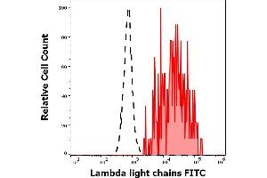 Separation of human Lambda Light Chain positive B cells (red-filled) from Lambda Light Chain negative CD3 negative lymphocytes (black-dashed) in flow cytometry analysis (surface staining) of human peripheral whole blood stained using anti-human Lambda Light Chain (1-155-2) FITC antibody (4 μL reagent / 100 μL of peripheral whole blood). (Lambda-IgLC 抗体  (FITC))
