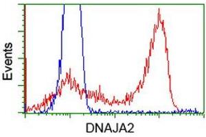 HEK293T cells transfected with either RC202204 overexpress plasmid (Red) or empty vector control plasmid (Blue) were immunostained by anti-DNAJA2 antibody (ABIN2452948), and then analyzed by flow cytometry. (DNAJA2 抗体)