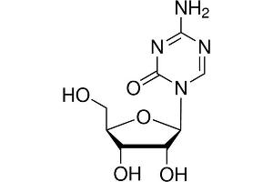 Chemical structure of 5-Azacytidine , a DNA hypomethylation agent.