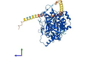 Protein Structure (PS) image for UDP-N-Acetyl-alpha-D-Galactosamine:polypeptide N-Acetylgalactosaminyltransferase 6 (GalNAc-T6) (GALNT6) (AA 1-622) protein (His tag) (ABIN7553973)