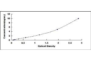 Typical standard curve (SIRT5 ELISA 试剂盒)