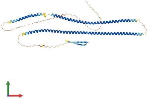 Protein Structure (PS) image for Keratin 36 (KRT36) (AA 1-467) protein (His tag) (ABIN7548843)