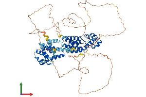 Protein Structure (PS) image for Sterile alpha Motif Domain Containing 4A (SAMD4A) (AA 1-718) protein (His tag) (ABIN7546103)