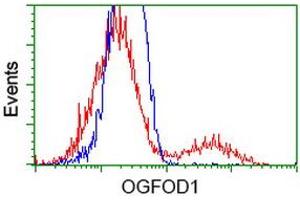 HEK293T cells transfected with either RC206839 overexpress plasmid (Red) or empty vector control plasmid (Blue) were immunostained by anti-OGFOD1 antibody (ABIN2454192), and then analyzed by flow cytometry. (OGFOD1 抗体)