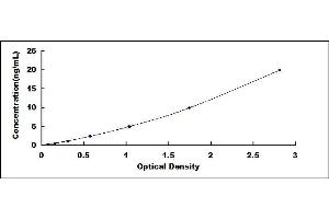 Typical standard curve (MMP19 ELISA 试剂盒)