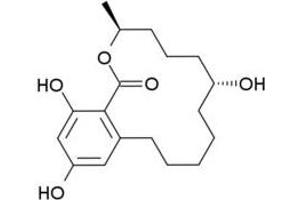 Antigen structure: Zeranol (ZEN) (Zeranol 抗体)