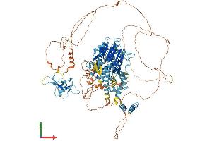 AlphaFold protein structure predicition of Mouse Recombinant Ttf2 Protein, UniprotID Q5NC05