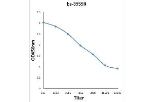 Antigen: 0. (NDUFV1 抗体  (AA 41-140))