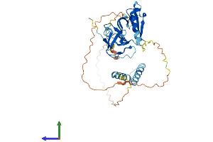 Protein Structure (PS) image for Src Kinase Associated phosphoprotein 1 (SKAP1) (AA 1-359) protein (His tag) (ABIN7546028)