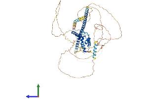 Protein Structure (PS) image for SRY (Sex Determining Region Y)-Box 13 (SOX13) (AA 1-613) protein (His tag) (ABIN7556893)