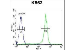 Flow Cytometry (FACS) image for anti-Corticotropin Releasing Hormone Receptor 2 (CRHR2) (AA 10-39) antibody (ABIN655389)