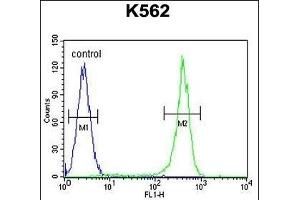 CRFR2 Antibody (D35) (ABIN655389 and ABIN2844937) flow cytometric analysis of K562 cells (right histogram) compared to a negative control cell (left histogram). (CRHR2 抗体  (AA 10-39))