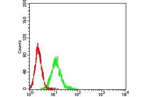 Flow cytometric analysis of K562 cells using CEACAM5 mouse mAb (green) and negative control (red). (CEACAM5 抗体  (AA 35-165))