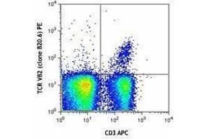 Flow Cytometry (FACS) image for anti-TCR V beta 2 antibody (PE) (ABIN2663915) (TCR V beta 2 抗体 (PE))