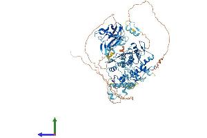 Protein Structure (PS) image for PR Domain Containing 9 (PRDM9) (AA 1-843) protein (His tag) (ABIN7564873)