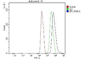 Flow Cytometry analysis of C6 cells using anti-splicing factor 1 antibody (ABIN7600193). (Splicing Factor 1 抗体  (AA 160-266))