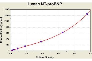 Diagramm of the ELISA kit to detect Human NT-proBNPwith the optical density on the x-axis and the concentration on the y-axis. (NT-ProBNP ELISA 试剂盒)
