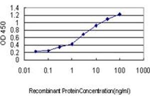 Image no. 1 for anti-Regulator of G-Protein Signaling 2 (RGS2) (AA 111-211) antibody (ABIN465968) (RGS2 抗体  (AA 111-211))