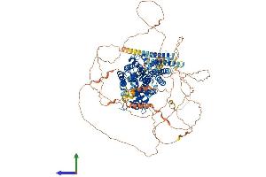 Protein Structure (PS) image for Rap Guanine Nucleotide Exchange Factor (GEF) 1 (RAPGEF1) (AA 1-1077) protein (His tag) (ABIN7555281)