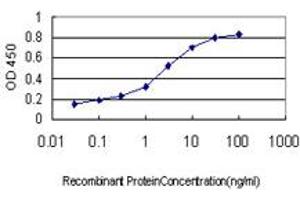 Detection limit for recombinant GST tagged PCDHGA1 is approximately 0. (PCDHGA1 抗体  (AA 241-340))