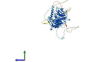 Protein Structure (PS) image for Dynein, Axonemal, Intermediate Chain 1 (DNAI1) (AA 1-701) protein (His tag) (ABIN7559079)