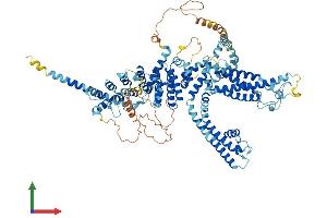 Protein Structure (PS) image for Transient Receptor Potential Cation Channel, Subfamily C, Member 6 (TRPC6) (AA 1-930) protein (His tag) (ABIN7563901)