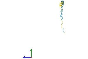 Protein Structure (PS) image for Small Proline-Rich Protein 2G (SPRR2G) (AA 1-76) protein (Fc Tag) (ABIN7562568)