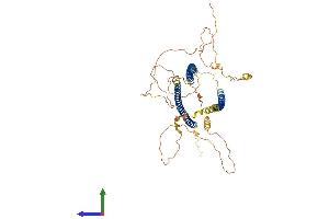 AlphaFold protein structure predicition of Mouse Recombinant N4bp3 Protein, UniprotID Q8C7U1 (N4BP3 Protein (AA 1-537) (His tag))