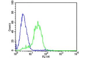 Flow cytometric analysis of HepG2 cells using DLK1 Antibody (C-term)(green, Cat(ABIN6243159 and ABIN6577727)) compared to an isotype control of mouse IgG2b(blue). (DLK1 抗体  (C-Term))